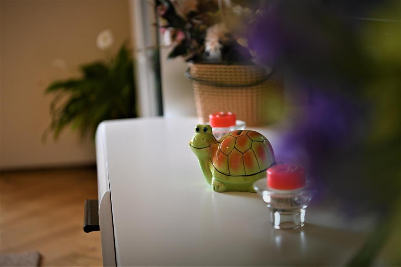 Marin Hotel Apartment 브라쇼브 외부 사진